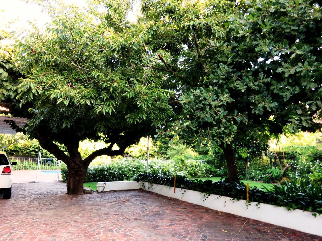 Fynbos Villa Guest House 스텔렌보스 외부 사진