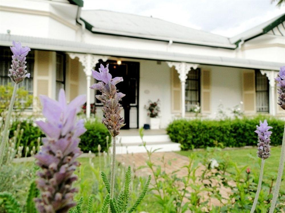 Fynbos Villa Guest House 스텔렌보스 외부 사진